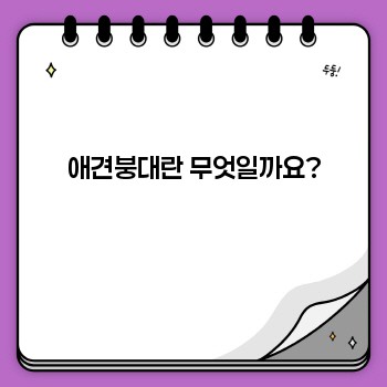 2402dd1ae5c9149be34d8647b9faccd9.jpg