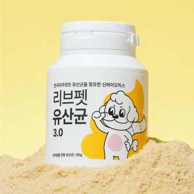 🐾 노묘 유산균 알약💊 효과봤냥?! 솔직후기 & 꿀팁 대방출! ✨