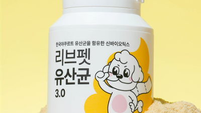🐾 노묘 유산균 알약💊 효과봤냥?! 솔직후기 & 꿀팁 대방출! ✨
