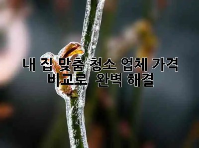 내 집 ✨맞춤 청소✨ 업체? 가격 비교로 🏡 완벽 해결!
