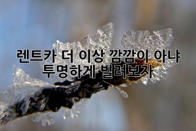 렌트카🚗 더 이상 #깜깜이❌ 아냐!💡 투명하게 빌려보자!