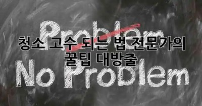 ✨청소 고수 되는 법✨: 전문가의 꿀팁 대방출! 🍯