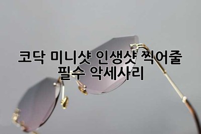 코닥 미니샷! 인생샷 찍어줄 필수 악세사리