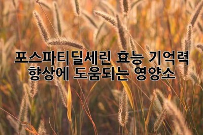 포스파티딜세린 효능: 기억력 향상에 도움되는 영양소?