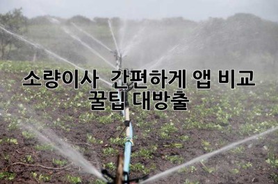 소량이사 🚚 간편하게! 앱 비교 & 꿀팁 대방출 🍯