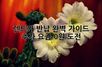 🚗 렌트카 반납 완벽 가이드: 추가 요금 0원 도전! 💸