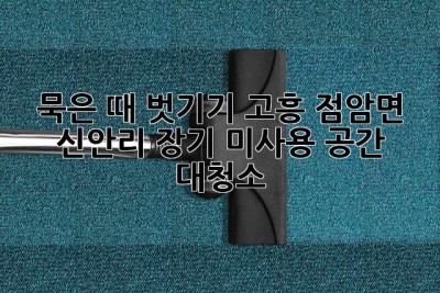 묵은 때 벗기기✨ 고흥 점암면 신안리 장기 미사용 공간 대청소🧹