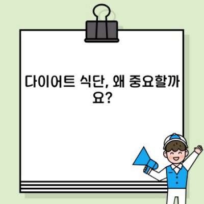 다이어트 성공의 지름길, 나에게 맞는 다이어트 식단 설계하기: 핵심 포인트와 실전 가이드