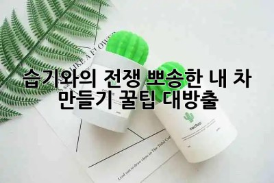 🚗 습기와의 전쟁! 뽀송한 내 차 만들기 꿀팁 대방출! 💦