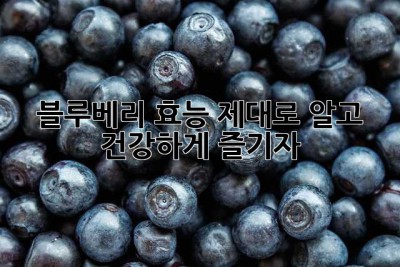 블루베리 효능 제대로 알고 건강하게 즐기자!