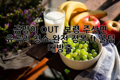 곰팡이 OUT! 🏡✨ 보령 주산면 유곡리 청소 완전 정복 (ft. 꿀팁 대방출)