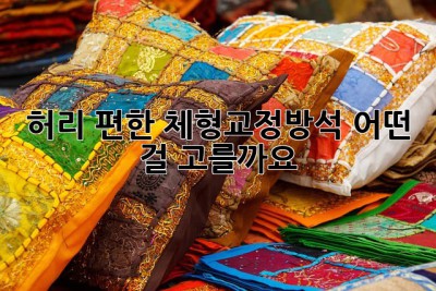 허리 편한 체형교정방석, 어떤 걸 고를까요?